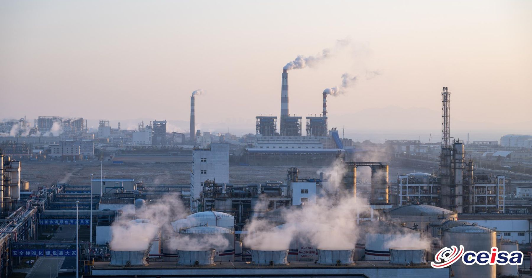 Si tu planta pudiera hablar: lo que tu proceso intentaría decirte